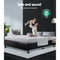 Bed Frame Base Queen Size Mattress Platform Foundation Wooden PVC Leather Black TOMI