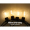 Jingle Jollys 50m LED Festoon String Lights 50 Bulbs Kits Wedding Party Christmas A19