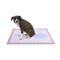 PaWz Pet Training Pads Puppy Dog Pads Absorbent Cushion Lavender Scent 100Pcs