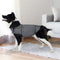 PaWz Dog Thunder Anxiety Jacket Vest Calming Pet Emotional Appeasing Cloth M