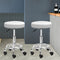 Artiss Set of 2 Round Salon Stool White Swivel Barber Beauty Chair Hydraulic Lift