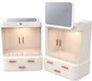 LED Makeup Organizer with LED Mirror and Jewelry Storage Organizer Cabinet