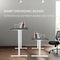 FORTIA Sit Stand Standing Desk, 140x60cm, 72-118cm Height Adjustable, 70kg Load, Black/White Frame