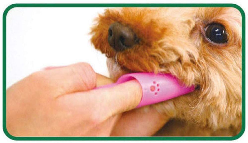 LION Tooth Brush For Dog & Cat Finger Type x48