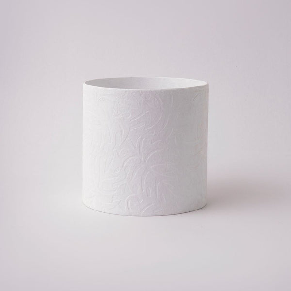 Tree Stripes Cylinder Pot Monstera - White (Small)
