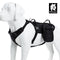 Whinhyepet Military Harness Black L