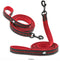 Reflective Pet Leash 2 meters Red L